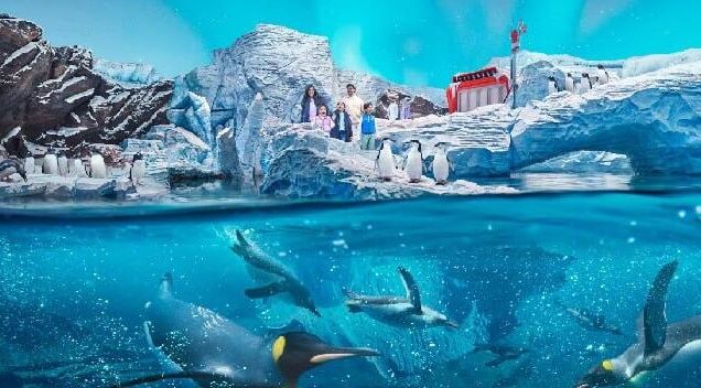 Sea World Abu Dhabi with Luton Vacation Homes